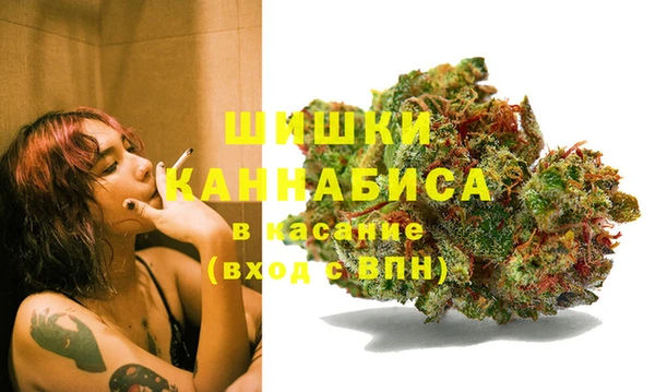 твердый Сосновый Бор