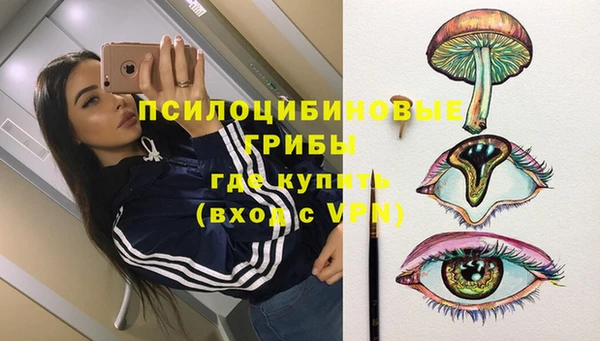 тгк Богданович