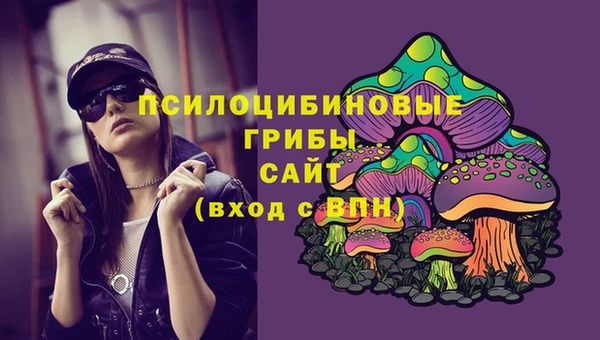 MDMA Premium VHQ Богородицк