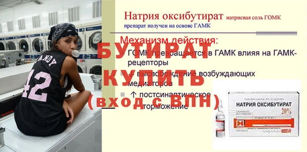 дживик Бородино