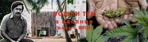дживик Бородино